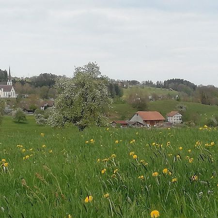 Billenberghof Apartman St. Gallen Kültér fotó