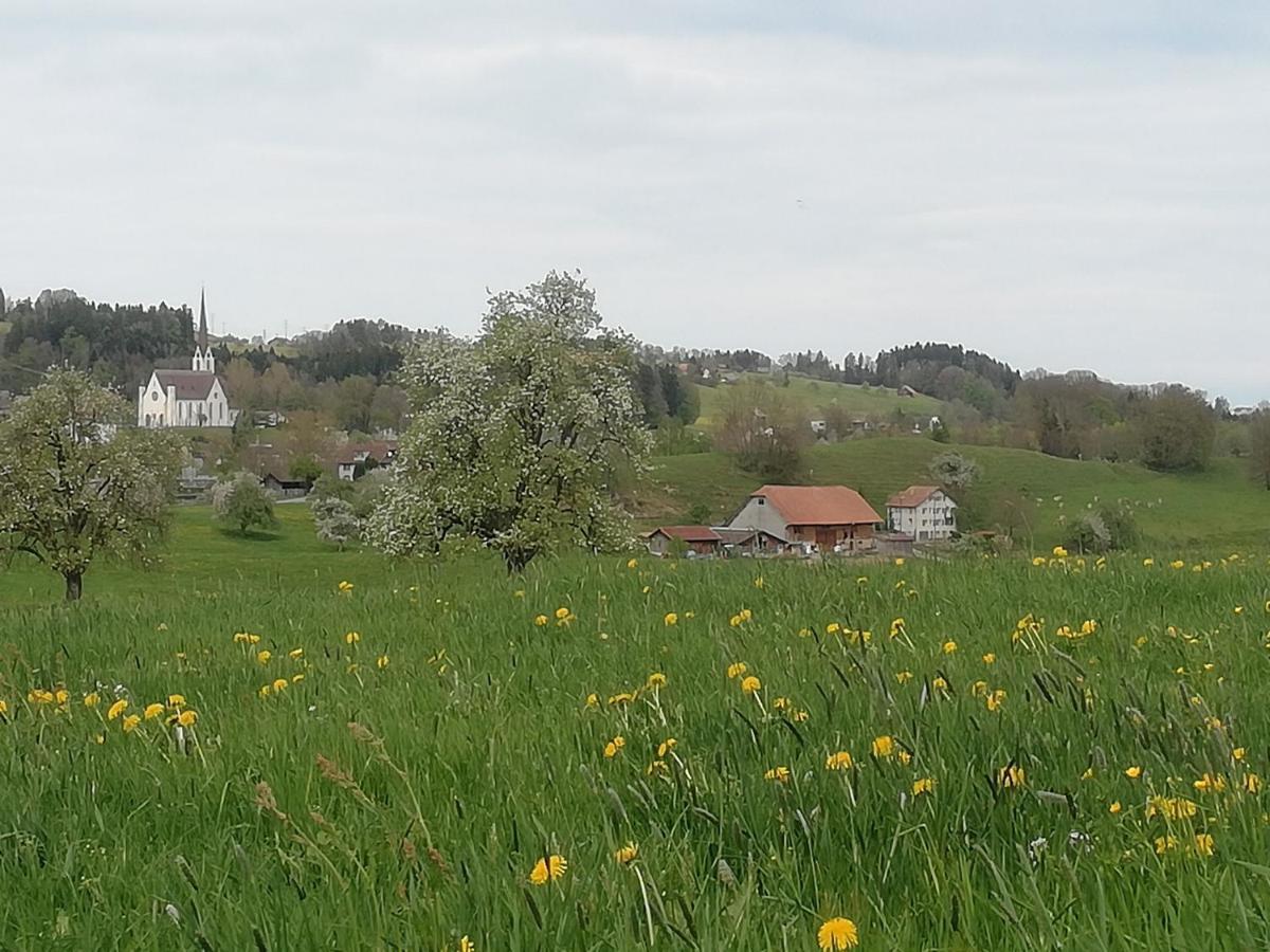 Billenberghof Apartman St. Gallen Kültér fotó
