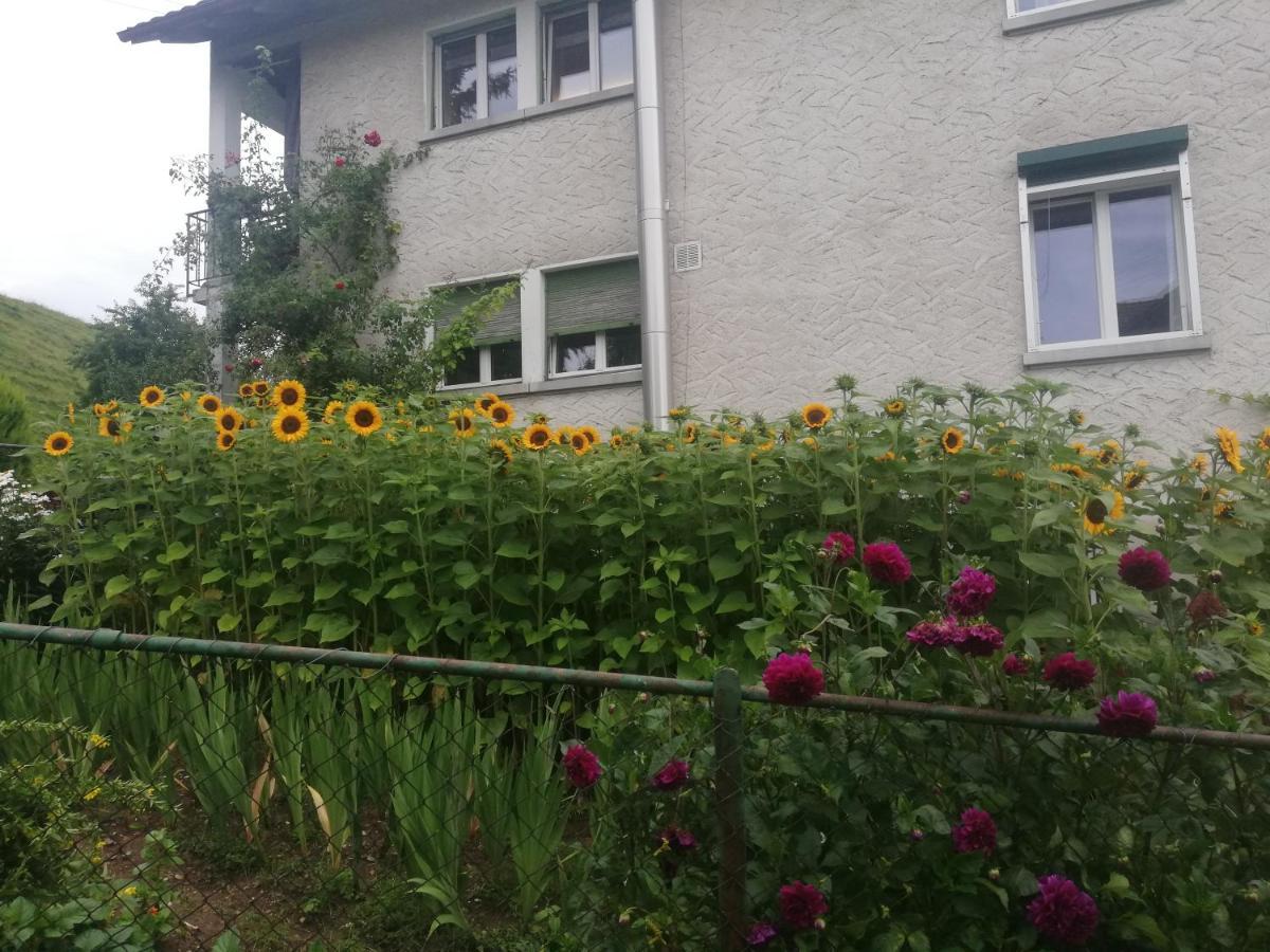 Billenberghof Apartman St. Gallen Kültér fotó