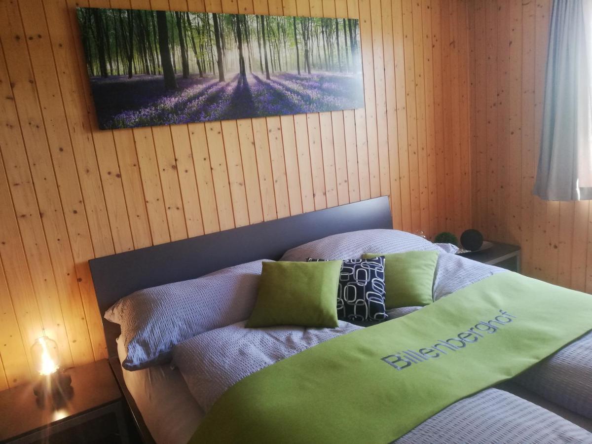 Billenberghof Apartman St. Gallen Kültér fotó