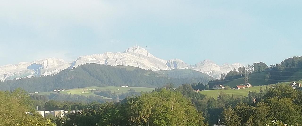 Billenberghof Apartman St. Gallen Kültér fotó